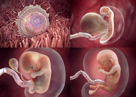 Gambar Natal Bayi Dalam Palungan : Gambar Ucapan Natal dan Tahun Baru 2020 Paling Indah dan ...