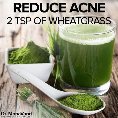 Barley grass will not only help you lose weight, but also help prevent these problems. Wheatgrass shots keeps your skin glowing! | Superfood drinks, Spirulina, Wheat grass