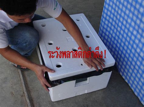 Here is an update on the. Phutalay Hydroponics: DIY - How to created a box for grow hydroponics