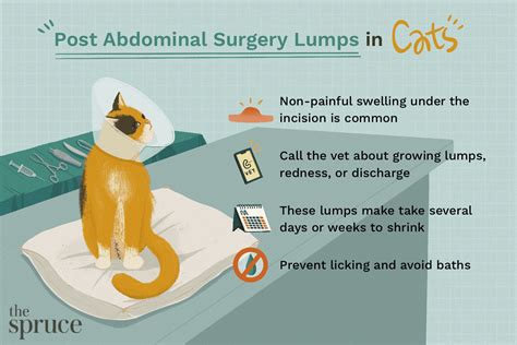 All vaccines have the potential to cause side effects in. Is a Belly Lump Normal in Cats After Spay Surgery?