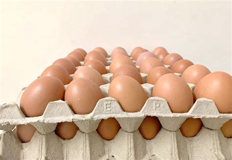 Telur ayam kampung berukuran lebih kecil dan memiliki berat sekitar 26,27 gram sampai 55,4 gram per butir. Fakta, Khasiat dan Kebaikan Telur Ayam - ERATUKU