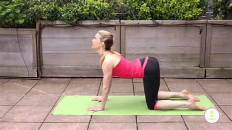 For cow pose, arch your back, articulating through your spine as you do so, and look up. How To Do The Cat-Cow Pose And What Are Its Benefits ...