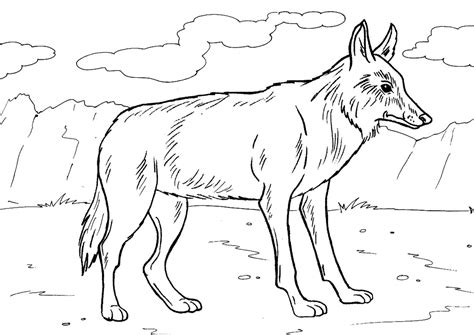 Maybe you would like to learn more about one of these? Coyote coloring pages to download and print for free