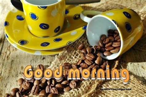 As a boyfriend it is good if you always ensure you girlfriend wakes up to a sweet romantic good morning love message for her because even if refuse to someone else might do it. Trending Good Morning Messages to Make Her Fall in Love ...