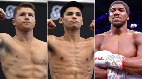 Canelo will make his way to the ring in 2020 after all. Canelo Alvarez, Ryan Garcia, Anthony Joshua: Who will they ...