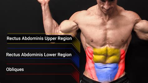 The transverse abdominal muscle wraps around the torso from front to back and from the ribs to the pelvis. How to Get Abs - My EXACT 6 Minute AB ROUTINE | ATHLEAN-X