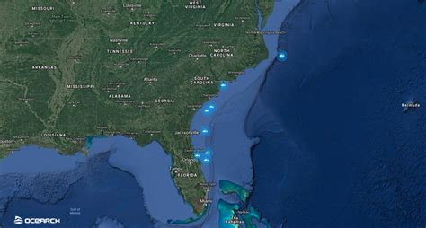 The work we started in 2012 suggests this area could be a potential mating site for the north atlantic white shark population. OCEARCH tracks four sharks from Nova Scotia expedition ...