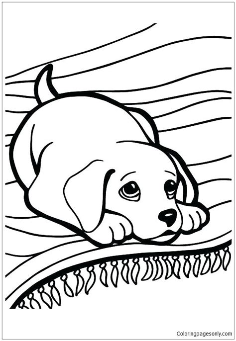 Husky coloring pages best coloring pages for kids 19. Alaskan Malamute Coloring Pages at GetColorings.com | Free ...