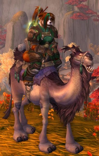 Loot card from wow tcg expansion, tomb of the forgotten. Brown Riding Camel - Spells - WoWDB