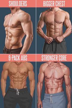 Choose from 500 different sets of flashcards about back muscles on quizlet. Female Torso Musculature Labelled Back Muscles Anatomy Anatomy Of Muscles Hip And Lower Back ...