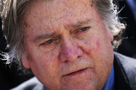 Facebook gives people the power to share and makes the. A Brief List of Things Steve Bannon Looks Like, According ...