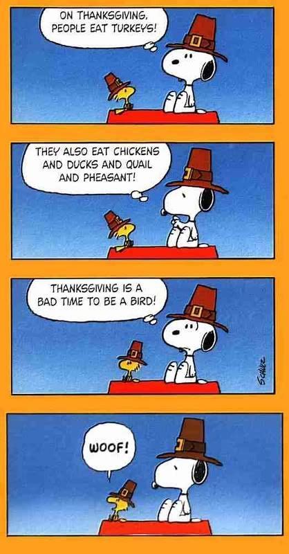 Snoopy charlie brown thanksgiving peanuts, dine together, comics, child png. Harris Sisters GirlTalk | Snoopy funny, Charlie brown ...