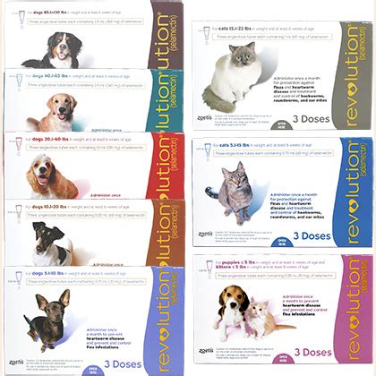 Revolution® (selamectin) for puppies/kittens up to 5 lbs merchant response:dear carmen, great to hear that revolution for puppies & kittens is working so well for you. Revolution for dogs how long does it take to work ...