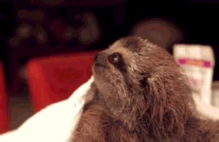 Don't trust people on the internet! How I felt when I realized the coins I mined as a test are worth $17 : dogecoin