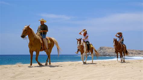 Climb aboard a powerful atv for a tour of the scenic baja outback. 10 TOP Things to Do in Los Cabos (2020 Attraction ...