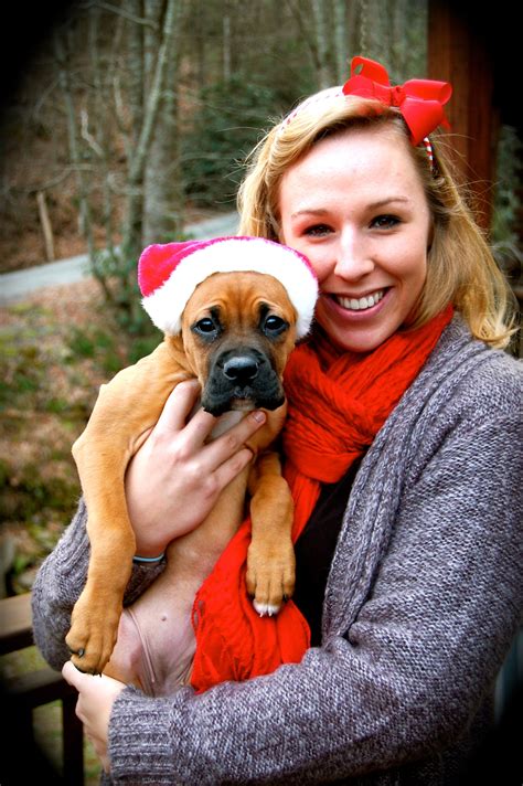 It's a true blessing to say. nala the boxer | Boxer, Puppies, Dogs