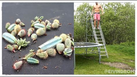 My favorite part of this video is at the end when this guy still has a trap attached to his hair. CACTUS TRAMPOLINE JUMP!! - YouTube