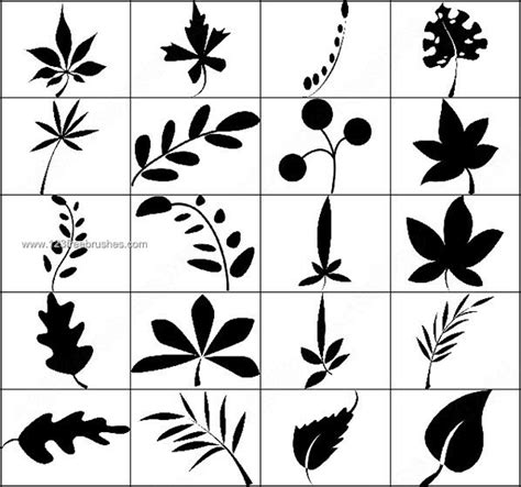 9 free coffee stain photoshop brushes. Leaf Silhouettes Brushes Photoshop | Photoshop Free ...