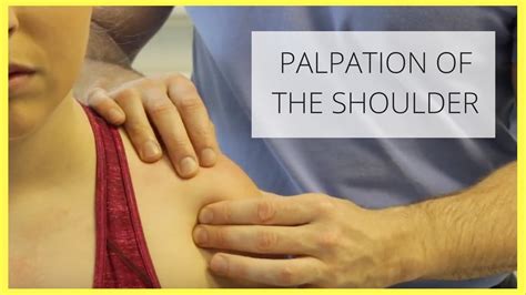It is used in shrugging the. Shoulder Palpation - YouTube