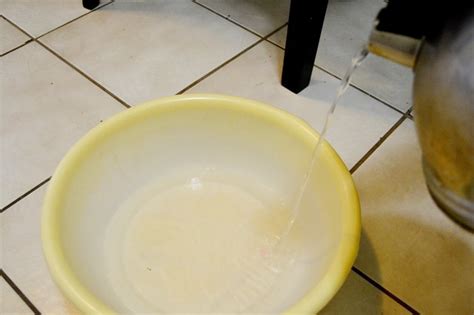 Topical or oral antifungals will no: How to Kill Toenail Fungus With Bleach (with Pictures) | eHow