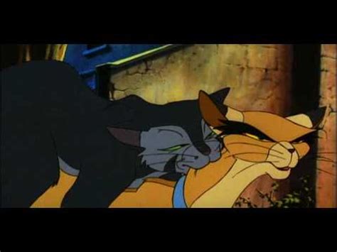 Comixology thousands of digital comics. Cat mating cartoon - YouTube