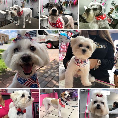 Just as we love them, they do love us too, as they show it! #4thjuly portraits 🇺🇸 🐾 #miamispetgrooming #mobilegrooming ...