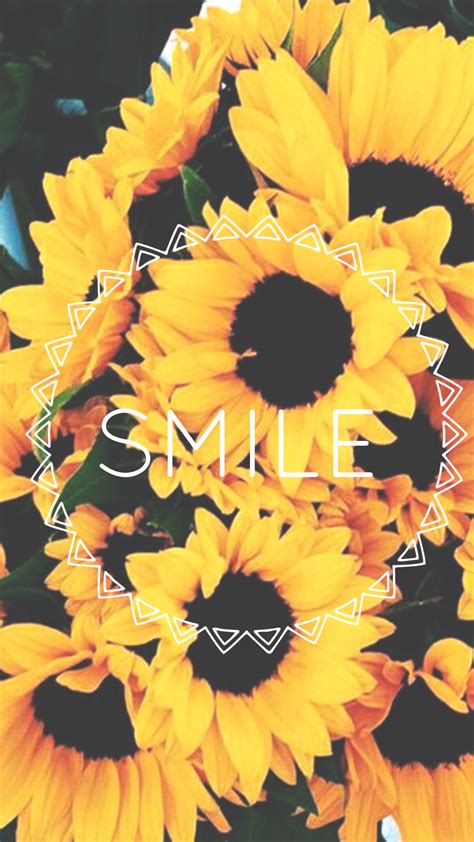 Check spelling or type a new query. Cute Aesthetic Sunflower Wallpapers - Wallpaper Cave