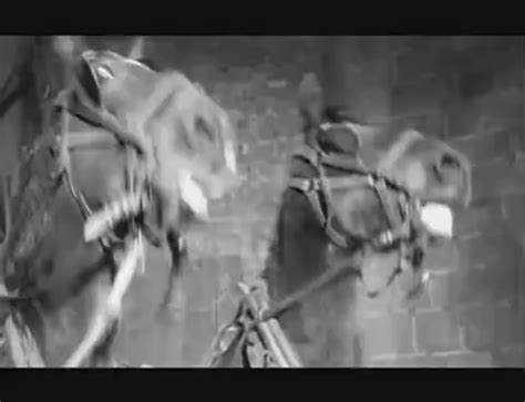 Frau blucher with horses young frankenstein gif. Frau Blucher | Find, Make & Share Gfycat GIFs