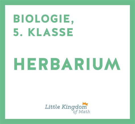 Certain families, genera släkten or species arter. Umfangreiche Sammlung von Übungen und Aufgaben zum Herbarium für Pflanzenkunde in der Biologie ...