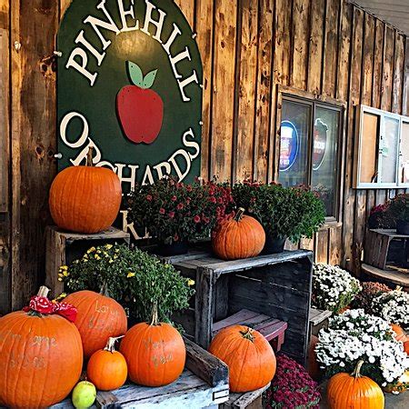 A free inside look at company reviews and salaries posted anonymously by employees. Pine Hill Orchards, Colrain - Restaurant Reviews, Photos ...