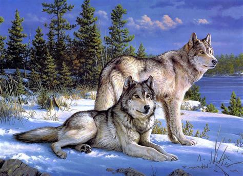 4k ultra hd wolf wallpapers. HD Wallpapers For PC Wolf - Wolf-Wallpapers.pro