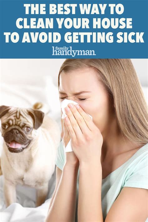 This is because their teeth aren't set in a rigid environment. Best Way to Clean Your House to Avoid Getting Sick ...