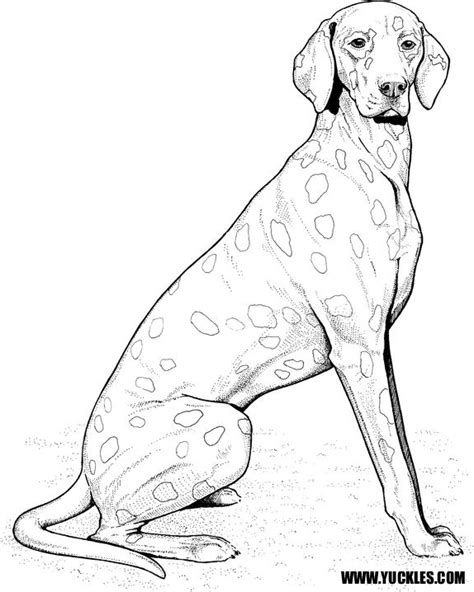 Sparkles fire safety dog coloring book paperback nobler dalmatian pages. Dalmatian Dog Coloring Page at GetColorings.com | Free ...