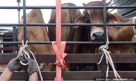 Qurban adalah semangat senantiasa selalu berbagi semoga damai dan. New SOP for Hari Raya Aidiladha