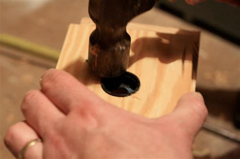 Carpenter bees are nature's answer to the cordless drill. How to Make a Carpenter Bee Trap | HGTV