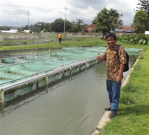 Banyak sekali jenis ikan air tawar, mulai dari ikan hias, hingga ikan untuk dikonsumsi, yang ikan ini merupakan ikan predator terbesar yang ada di dunia saat ini, ikan yang dikenal sebagai monsternya ikan yang satu ini juga dikenal memiliki rasa yang sangat nikmat apabila diolah menjadi berbagai. Kunjungan Ke Balai Besar Penelitian Ikan Air Tawar Sukabumi | GURAME BOGOR