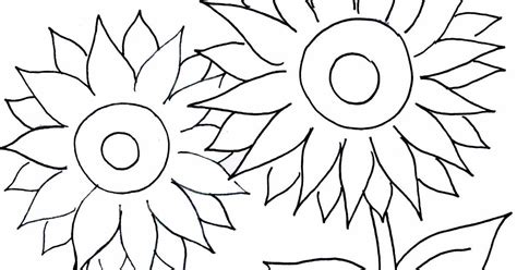 Bunga matahari adalah sebuah bunga yang memiliki ciri khusus yaitu setiap berbunga selalu mengikuti arah cahaya matahari. Gambar Bunga Matahari Hitam Putih Untuk Diwarnai - Car ...