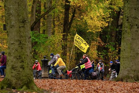 In het ter kamerenbos in brussel is de rust teruggekeerd: 'Een bos zonder auto's, dat is toch niet meer dan logisch ...