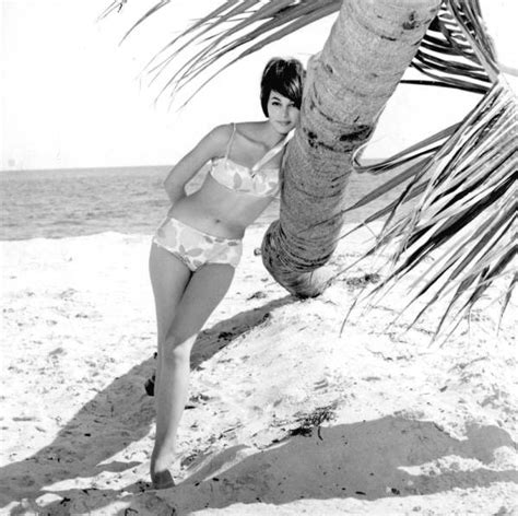 Valitse laajasta valikoimasta samankaltaisia kohtauksia. Florida Memory • Young woman leaning against a palm tree ...
