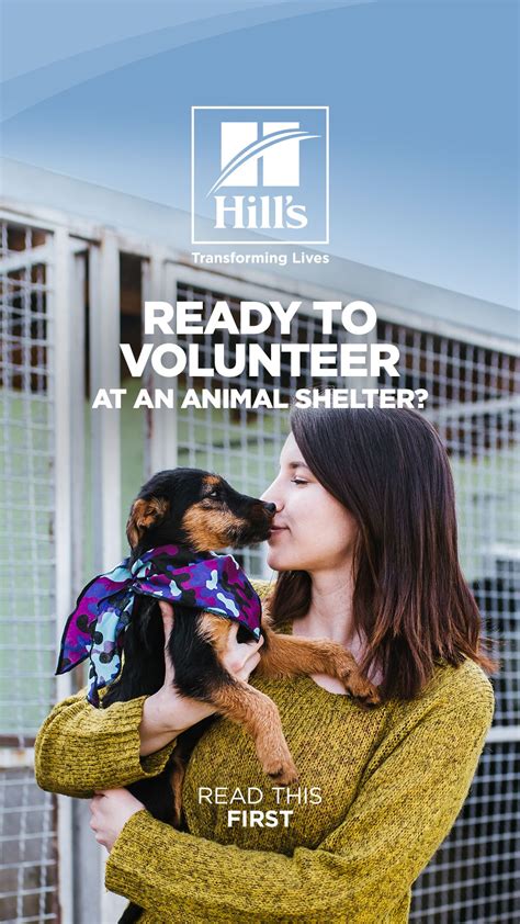 According to project drawdown, reducing food waste by 50% by 2050. Animal Shelter Volunteer Work Near Me - WAYANGPETS.COM