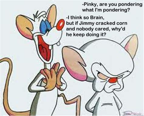 The odd buddies have many strange adventures. Pinky and the Brain | Animaniacs, Cartoon tv shows, 2000 ...