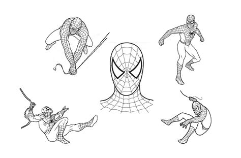 Spiderman da stampare e dipingere per bambini. Disegni da colorare di Spiderman. Stampa online supereroe ...