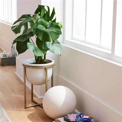 The pot features the instantly recognizable shade of orange while a white cross base gives the item a welcome lift. Eden Cross Base Standing Planter - Brass | west elm Australia