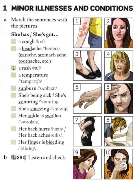 Health and sickness vocabulary sheet. Injuries and Illnesses - Interactive worksheet in 2020 ...
