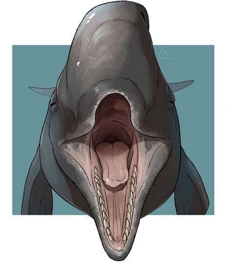 I'm kojit, creator not officially android app client (app) for furaffinity. g4 :: Sperm Whale Maw C by ImperatorCaesar by DragonsKey