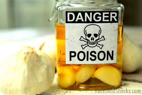 A potential harborer of botulism eat or toss: Be Aware of the Risks of Botulism With Homemade Garlic ...