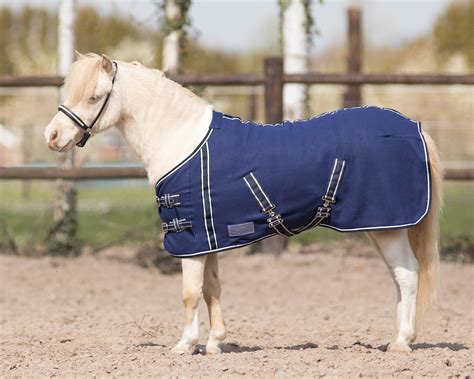 Los falabelas son caballos miniaturas de argentina. Falabella fleece rug | QHP - Everything for horse and rider