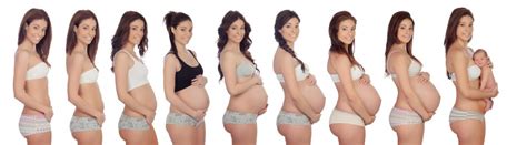 Erfahre jetzt, wie früh welche anzeichen einer schwangerschaft auftreten und wie du frühzeitig testen kannst, ob du wirklich schwanger bist. Der Schwangerschaftsverlauf im Überblick - babymarkt.de