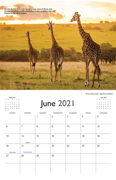 12 january 2021 19 january 2021. Big Life 2021 Calendar - BL120 | Big Life Foundation