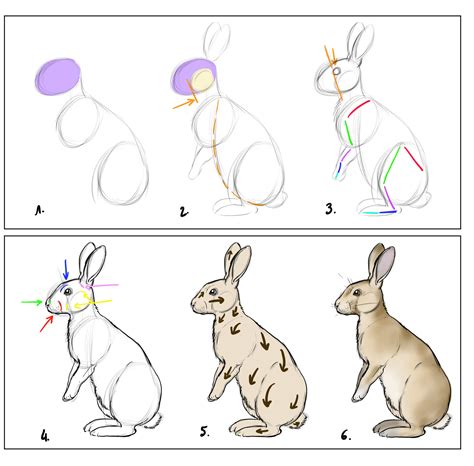 Imprime le dessin lapin facile simple enfant sans dépenser le moindre sous. Comment dessiner un lapin | Dessin lapin, Coloriage ...